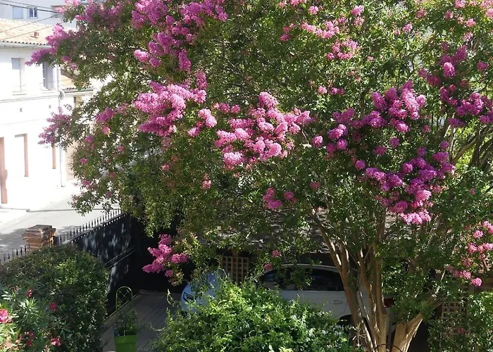 Апартаменты Calme Et Confort Centre Avec Parking Prive *